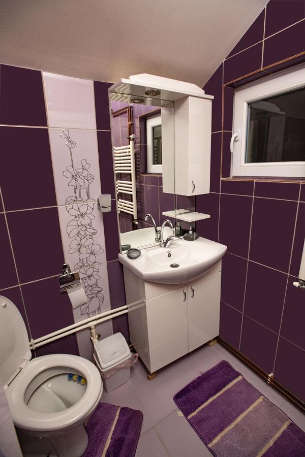 Apartmani Sp Jovanovic Crni Vrh Luaran gambar